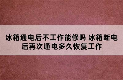 冰箱通电后不工作能修吗 冰箱断电后再次通电多久恢复工作